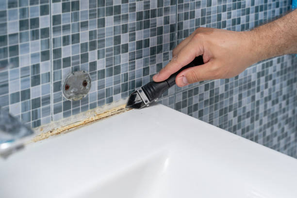 Best Fast Mold Removal  in Great Neck Plaza, NY